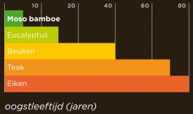 Oogstleeftijd van bamboe en houtsoorten